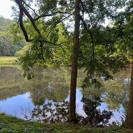 Gemuetliche Landhauswohnung Direkt Am Diemelsteig Apartment Diemelsee